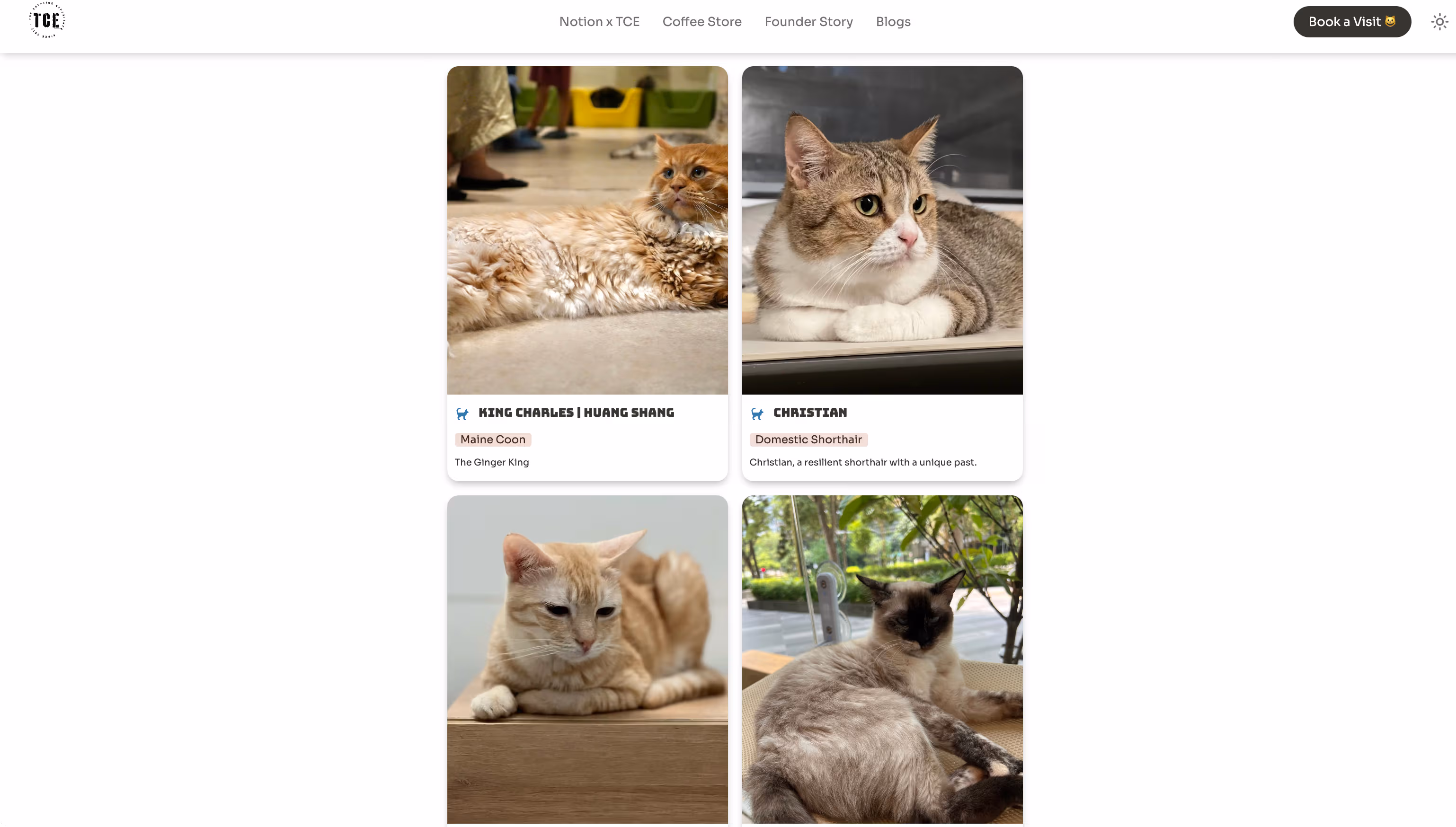 Head to this gallery view in Notion to meet the cafe's cats, like Eadward Altinstar, Gisele, and King Charles.